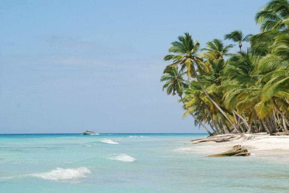 praias-e-jardins-descubra-santos!-